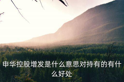 申華控股是什么板塊，申華控股怎么樣
