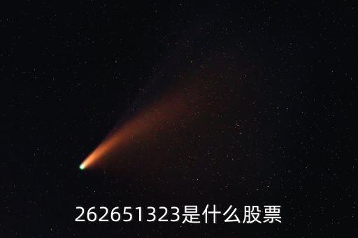 208393股票是什么，262651323是什么股票