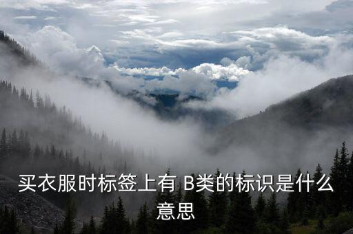 有色b是什么，買衣服時標(biāo)簽上有 B類的標(biāo)識是什么意思