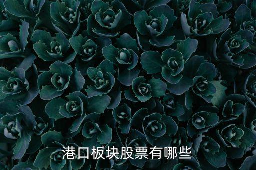 福建有什么港口股票，福建有哪些優(yōu)良的港口