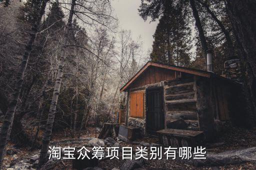 淘寶眾籌項(xiàng)目類(lèi)別有哪些