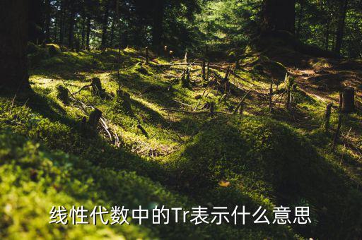 一陽(yáng)穿四線說(shuō)明什么，一陽(yáng)穿四線成交增量的股票會(huì)漲嗎
