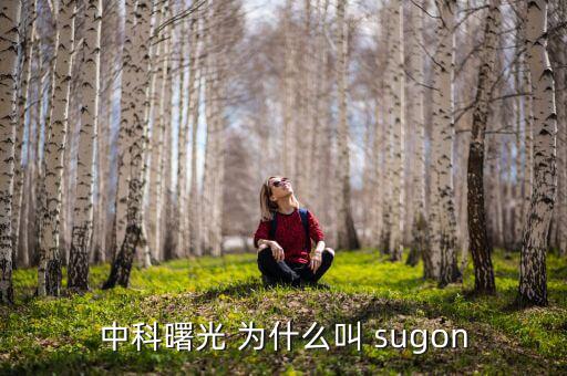 2014中科曙光什么時(shí)候上市的，股票為什么要選中科曙光