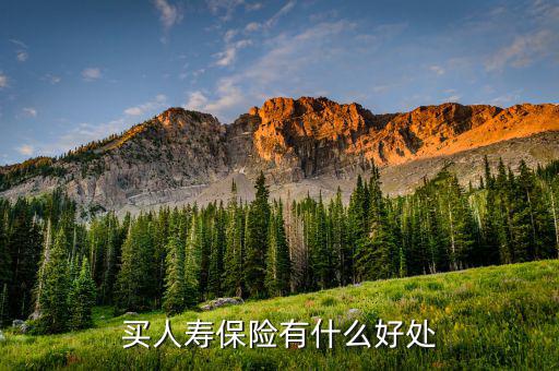 人壽保險有什么好處，人壽保險到底有何作用