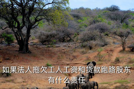 法人跑路屬于什么罪，申請勞動仲裁被告用人單位法人代表逃跑了怎么辦他將背負(fù)什么罪
