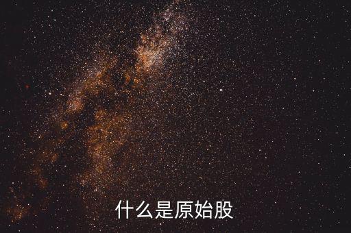 公司原始股是什么，什么是原始股怎樣買(mǎi)原始股