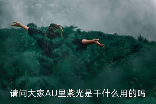 請(qǐng)問大家AU里紫光是干什么用的嗎