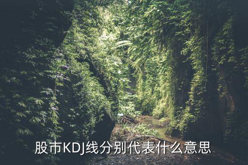 股票中的kdj代表什么，股票指標(biāo)的KDJ是什么意思