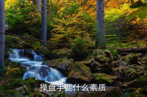 操盤手有什么要求，操盤手要什么素質(zhì)