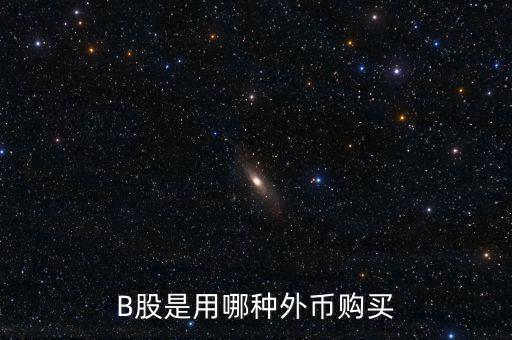 b股分紅支付什么貨幣，B股是用哪種外幣購買