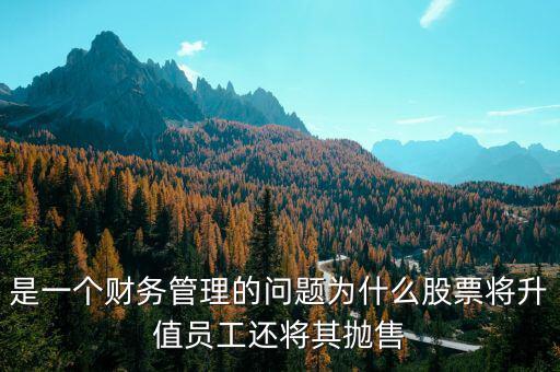 為什么要拋售股票，是一個(gè)財(cái)務(wù)管理的問(wèn)題為什么股票將升值員工還將其拋售