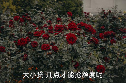 大小貸 幾點才能搶額度呢