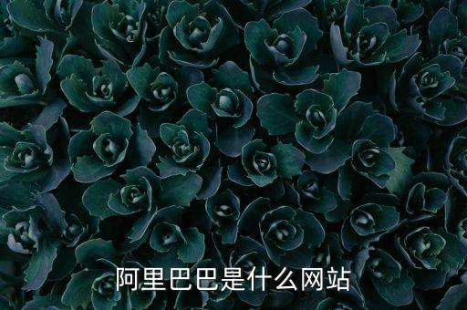 阿里巴巴是什么網(wǎng)站，阿里巴巴是什么網(wǎng)站