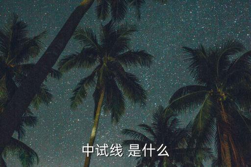 中試線是什么意思，中試線 是什么