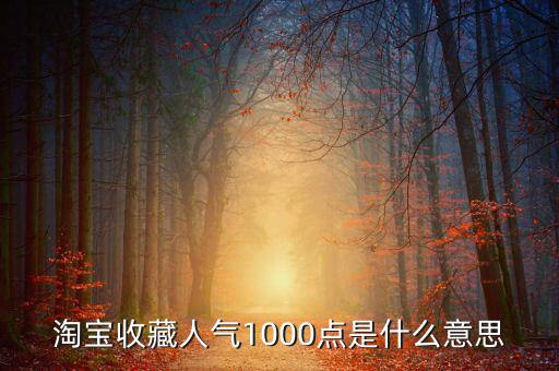 1000點(diǎn)2000點(diǎn)什么意思，加拿大簽證中1000 2000什么意思