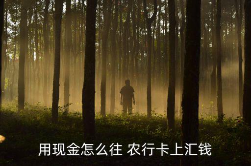 用現(xiàn)金怎么往 農行卡上匯錢
