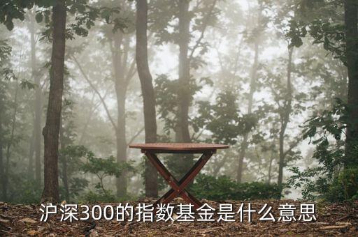 基金滬深300什么，滬深300的指數(shù)基金是什么意思