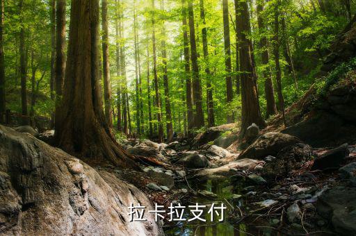 拉卡拉便利支付是什么，什么是銀聯(lián)拉卡啦支付