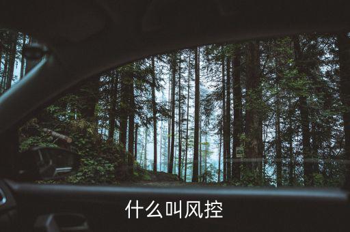 易到風(fēng)控什么意思，什么叫風(fēng)控