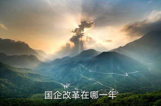 國企改革什么時候開盤，國有企業(yè)改革是什么時候
