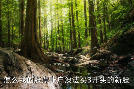 3開頭的股票為什么不能買，請問新開戶的股民為什么不能買3字開頭的股票