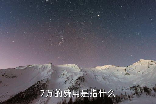 7萬的費(fèi)用是指什么