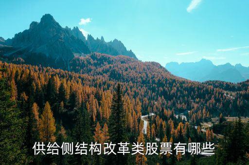 供給側(cè)最利好什么股票，供給側(cè)改革概念股有哪些