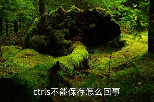 危房改造輸入為什么保存不了，文檔里再輸入資料為什么就保存不上