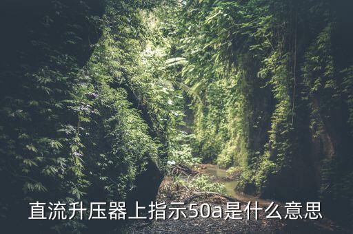 上證50a什么意思，招商央視財經(jīng)50a后面的a什么意思