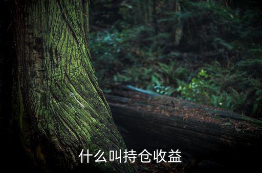 理財(cái)里的持倉收益是什么意思，基金 持倉收益7579 是什么意思啊 本人是新手