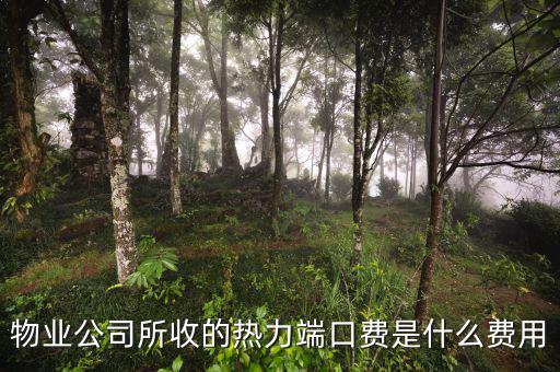 什么是端口費(fèi)，現(xiàn)在電信包月網(wǎng)線得多少錢(qián)還有那端口費(fèi)是什么意思