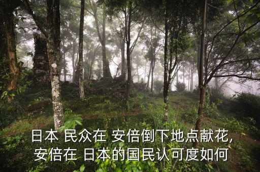  日本 民眾在 安倍倒下地點(diǎn)獻(xiàn)花, 安倍在 日本的國(guó)民認(rèn)可度如何