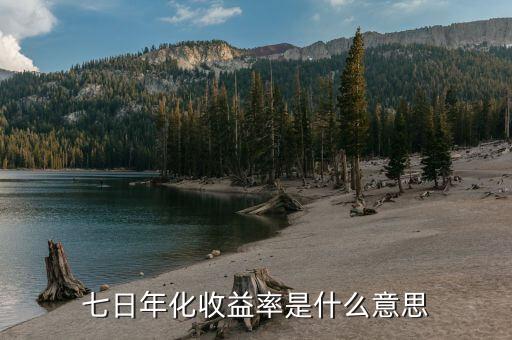 7天年化收益率是什么意思，年化收益率和7日收益率是什么意思