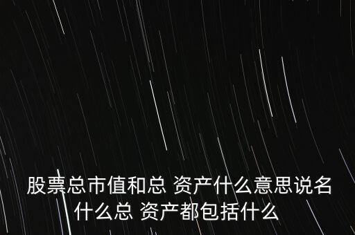 怎么看股票總資產,證券交易所系統可查詢投資資金詳細情況