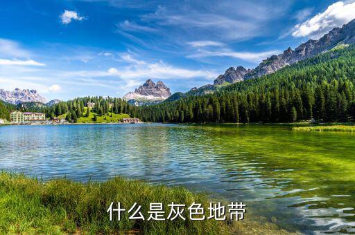 什么是項目灰色地帶，什么是灰色地帶