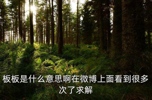 要板了是什么意思，板板是什么意思啊在微博上面看到很多次了求解