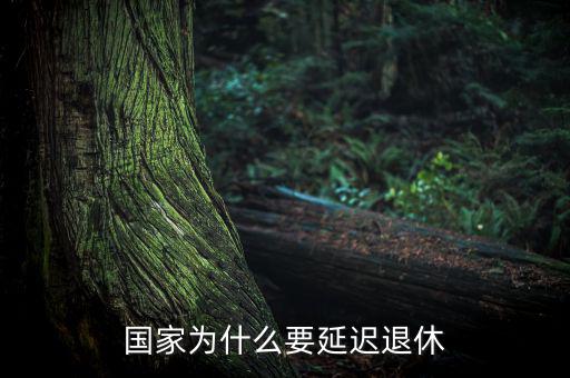 為什么要延遲退休，為什么要推遲退休年齡