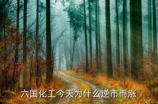 六國(guó)化工有什么概念，六國(guó)化工和六國(guó)化肥是一個(gè)意思嗎