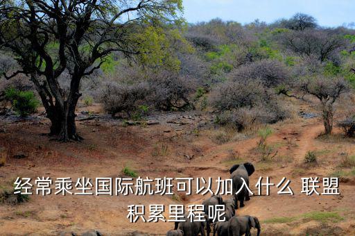星空聯(lián)盟積分怎么算,南航、東航可通過明珠卡共享積分等