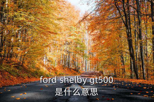 東盟油500是什么，ford shelby gt500是什么意思