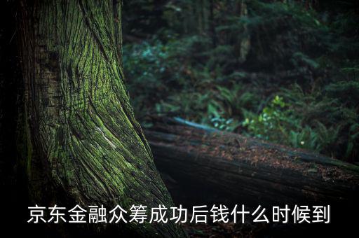 京東金融活動(dòng)什么時(shí)候結(jié)束，金條的活動(dòng)什么時(shí)候結(jié)束啊