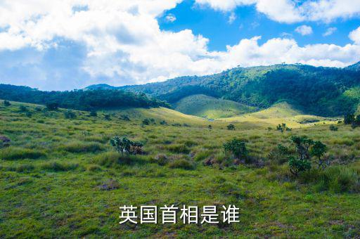 卡梅倫什么時(shí)候上任，英國首相是誰