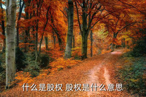 什么是股權(quán)合作，股權(quán)是什么意思