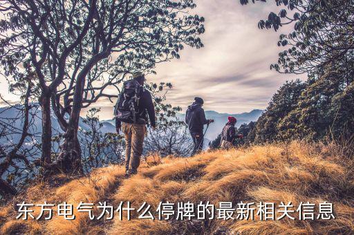 中國為什么退出蘇聯(lián)東方集團，東方集團為什么停盤