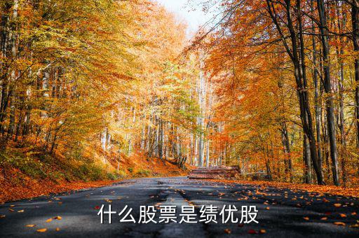 什么是績效股票，什么叫成長股和績效股