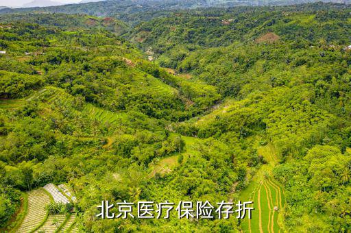 北京醫(yī)保存折是什么，北京醫(yī)保存折