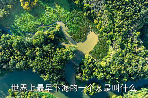 王木清什么時(shí)候下海的，我國(guó)英雄 下海 的故事