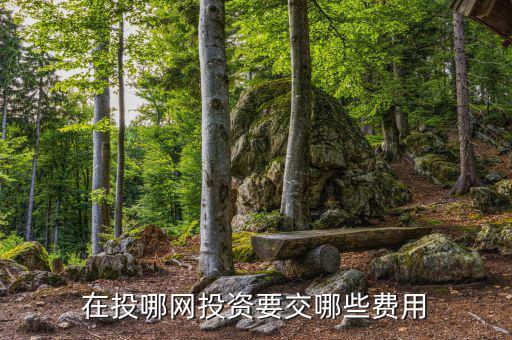 投哪網(wǎng)管理費(fèi)什么時(shí)候收取，投哪網(wǎng)收手續(xù)費(fèi)嗎