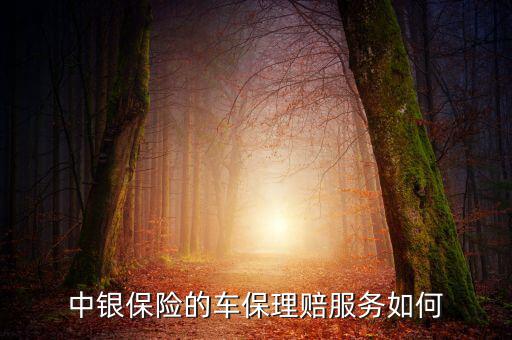 中銀保險(xiǎn)車(chē)險(xiǎn)vip客戶(hù)有什么權(quán)利，中銀保險(xiǎn)的車(chē)保理賠服務(wù)如何
