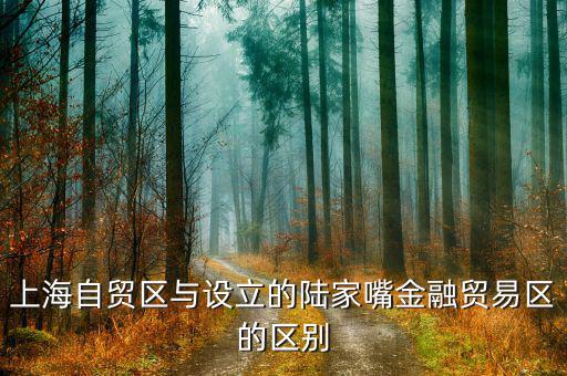 陸家嘴金融貿(mào)易區(qū)有什么，上海自貿(mào)區(qū)與設(shè)立的陸家嘴金融貿(mào)易區(qū)的區(qū)別